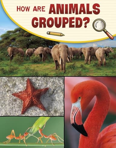 Cover of How Are Animals Grouped?