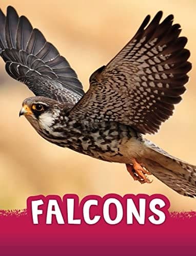 Cover of Falcons
