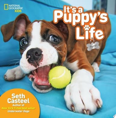 Cover of It's a Puppy's Life