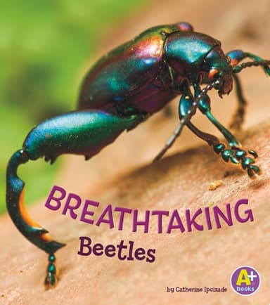 Cover of Breathtaking Beetles