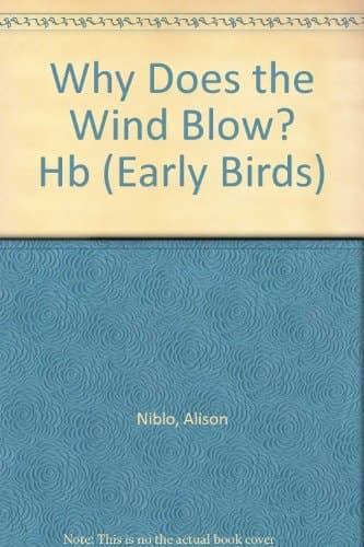 Cover of What Makes the Wind Blow?