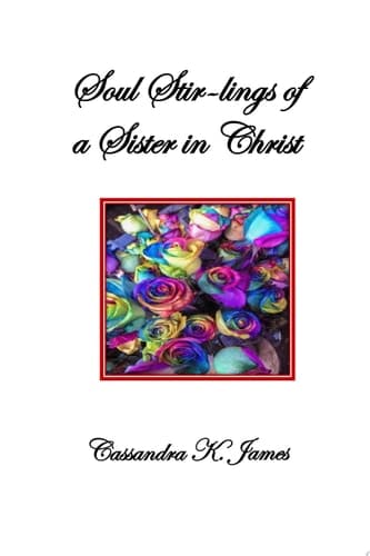 Cover of Soul Stir-Lings of a Sister in Christ