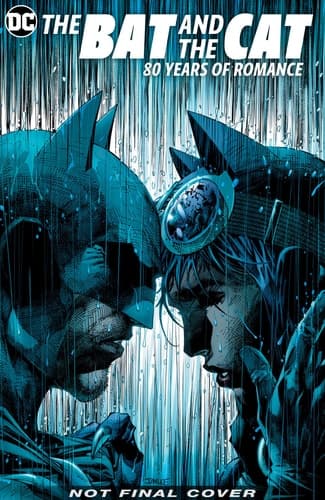 Cover of Batman : the Bat and the Cat