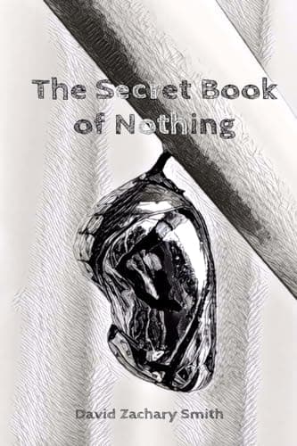 Cover of Secret Book of Nothing