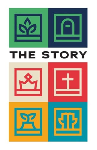 Cover of Story (25-Pack)