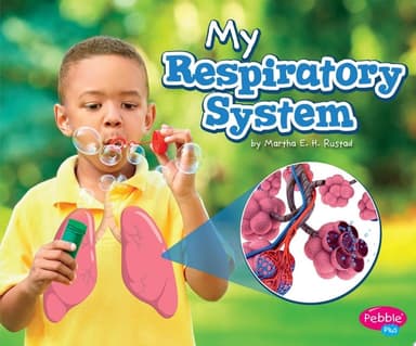 Cover of My Respiratory System