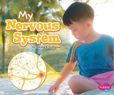 Cover of My Nervous System