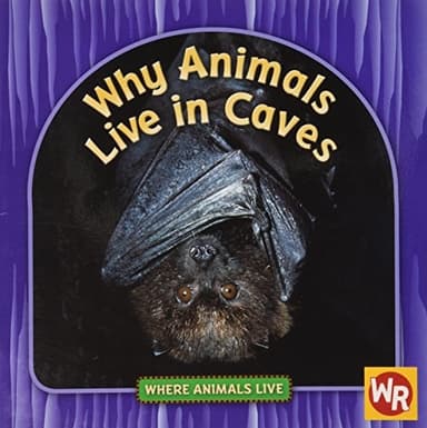 Cover of Why Animals Live in Caves