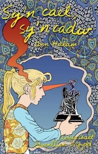 Cover of Sy'n Cael, Sy'n Cadw