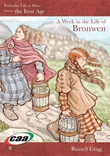 Cover of Everyday Life in Wales in the Iron Age