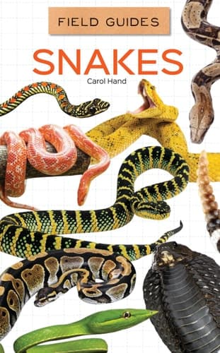 Cover of Snakes