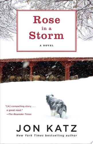 Cover of Rose in a Storm
