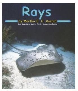 Cover of Rays