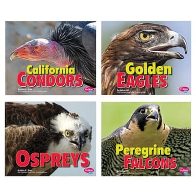 Cover of Birds of Prey