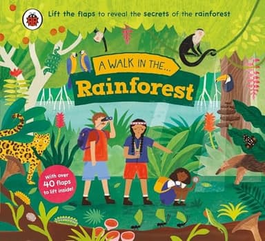 Cover of Walk in the Rainforest