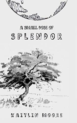 Cover of Small Dose of Splendor