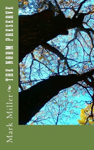 Cover of Norm Preserve
