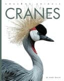 Cover of Cranes