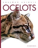 Cover of Ocelots