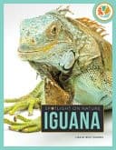 Cover of Iguana
