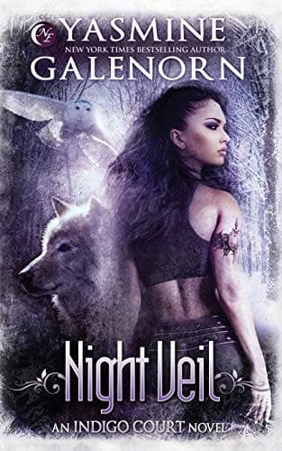 Cover of Night Veil