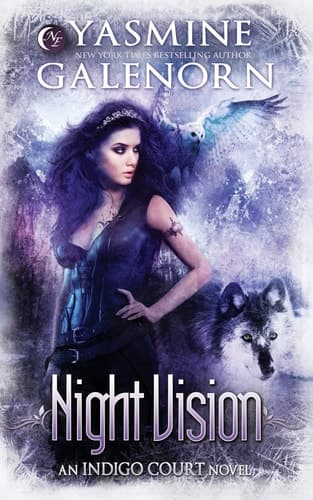Cover of Night Vision