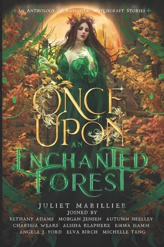 Cover of Once upon an Enchanted Forest