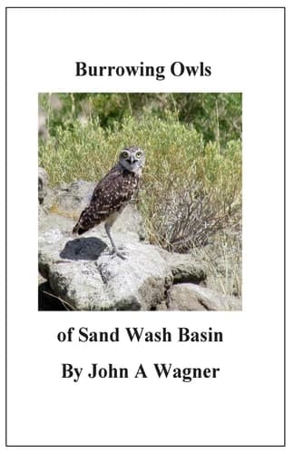 Cover of Burrowing Owls of Sand Wash Basin
