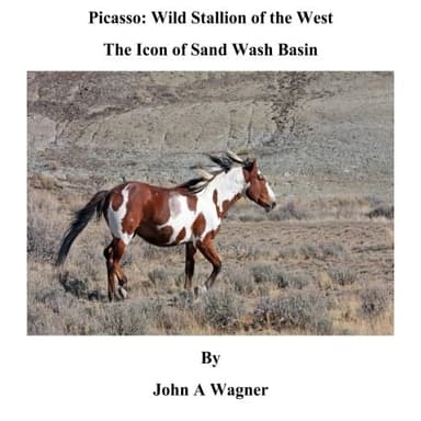 Cover of Picasso : Wild Stallion of the West