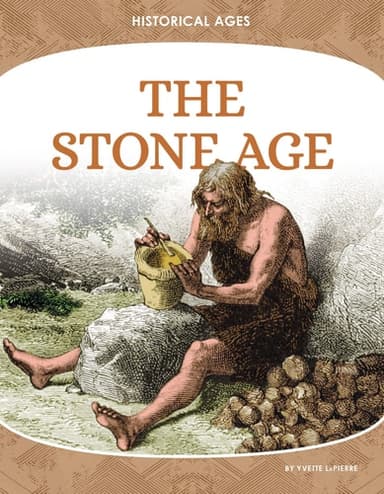 Cover of Stone Age