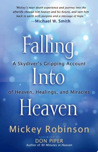 Cover of Falling into Heaven