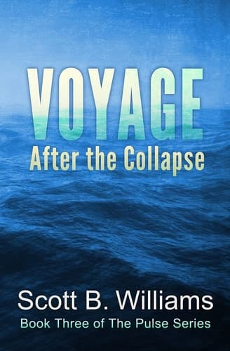 Cover of Voyage after the Collapse