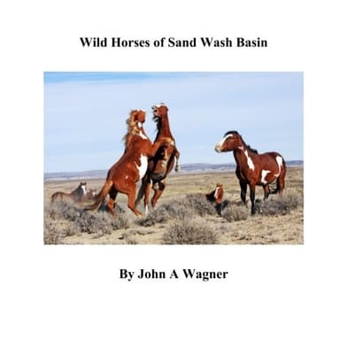 Cover of Wild Horses of Sand Wash Basin