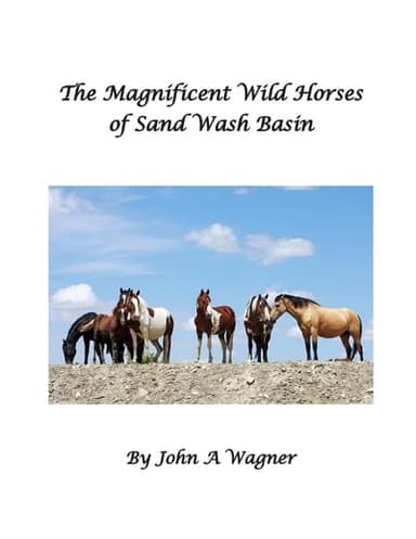Cover of Magnificent Wild Mustangs of Sand Wash Basin