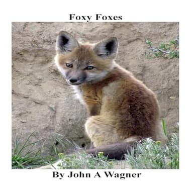 Cover of Foxy Foxes