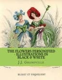 Cover of Flowers Personified - Illustrations in Black and White