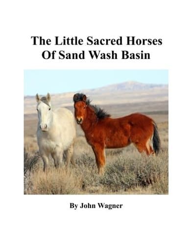 Cover of Little Sacred Horses of Sand Wash Basin