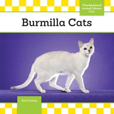 Cover of Burmilla Cats