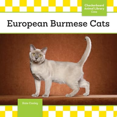 Cover of European Burmese Cats