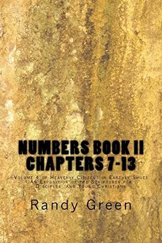 Cover of Numbers Book II : Chapters 7-13