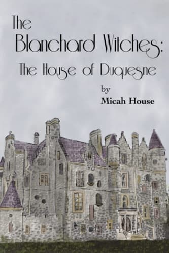 Cover of The House Witch 4