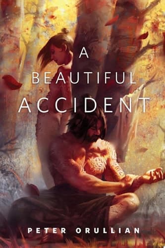 Cover of Beautiful Accident