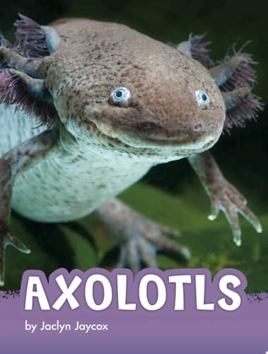Cover of Axolotls