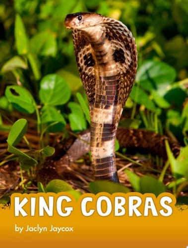 Cover of King Cobras