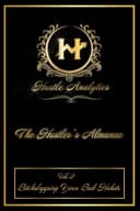 Cover of Hustle Analytics Vol 2. Bitchslapping Your Bad Habits