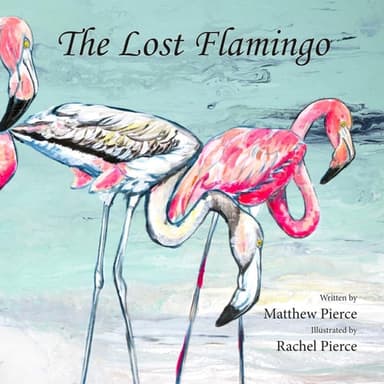 Cover of Lost Flamingo