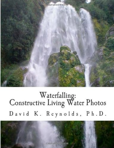 Cover of Waterfalling