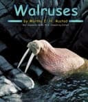 Cover of Walruses