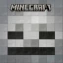 Cover of I Survived a Skeleton! (Mobs of Minecraft)
