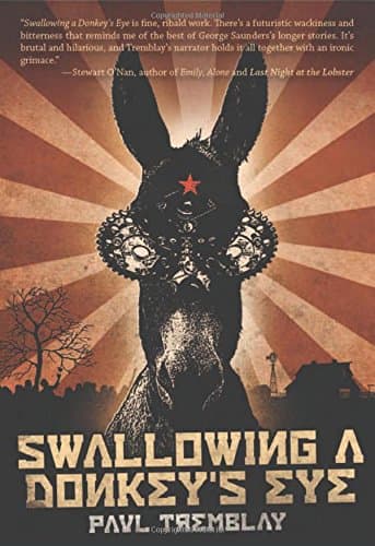 Cover of Swallowing a Donkey's Eye